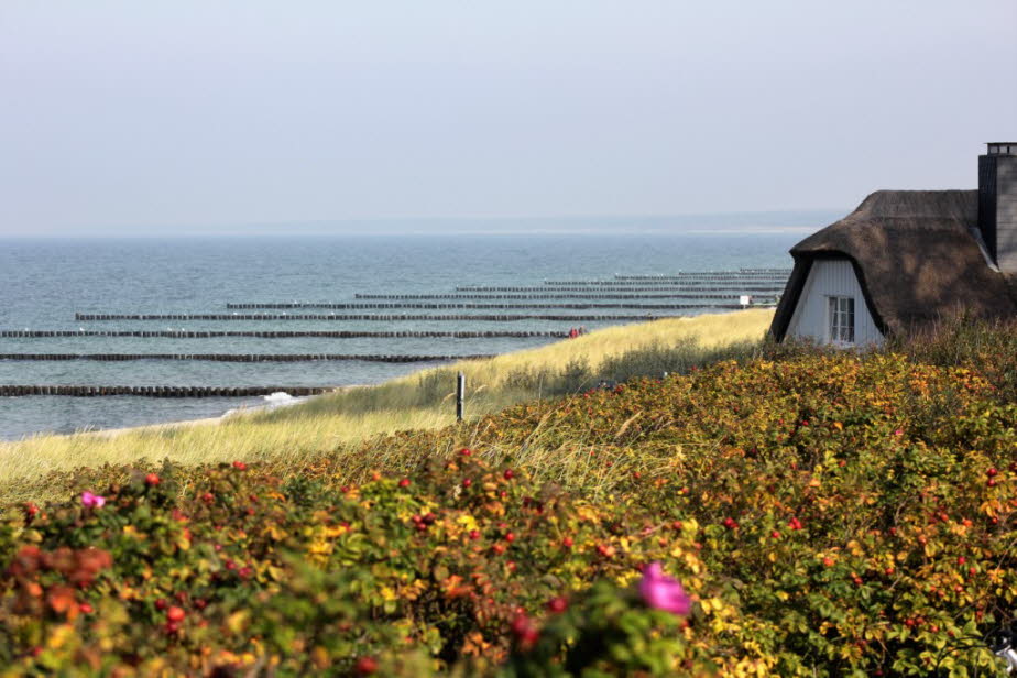 Ahrenshoop: Ehemaliger Künstlerort mit besonderem Flair direkt am Nationalpark