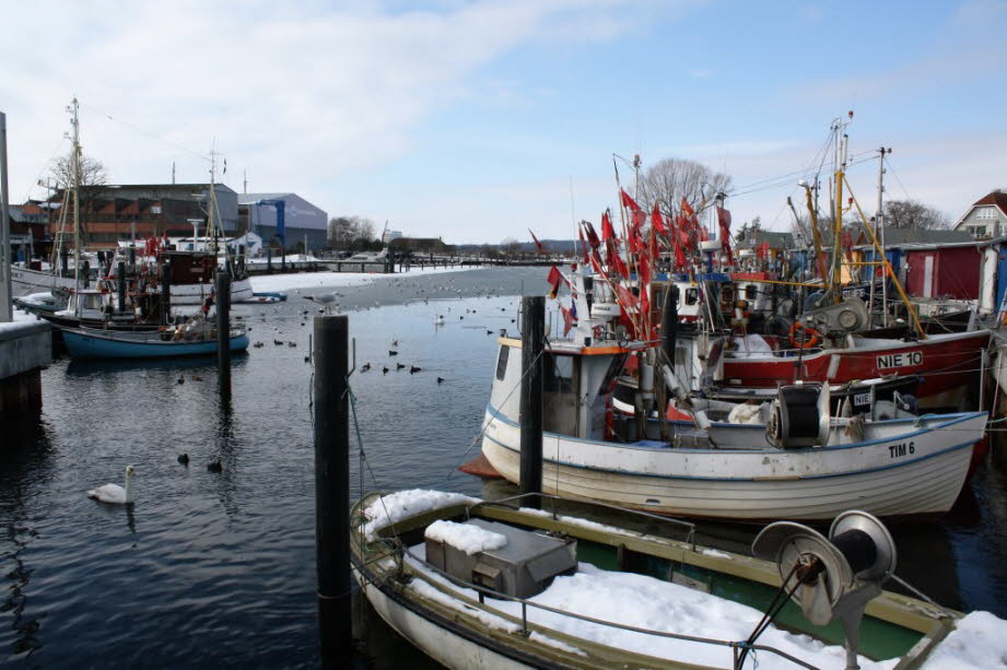 weil man am Niendorfer Hafen frisch gefangenen Fisch kaufen kann.