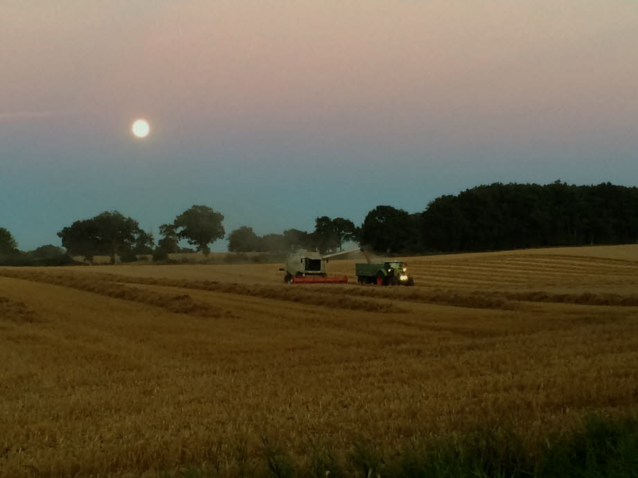 weil der Septembermond bei Howacht zur Ernte scheint.