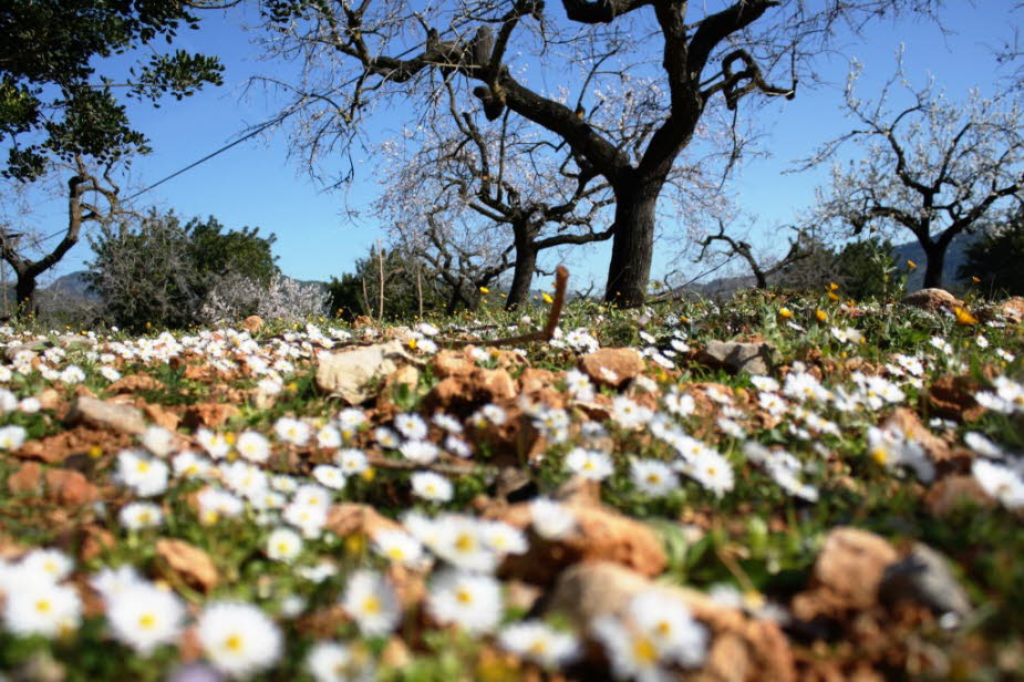 Frühling