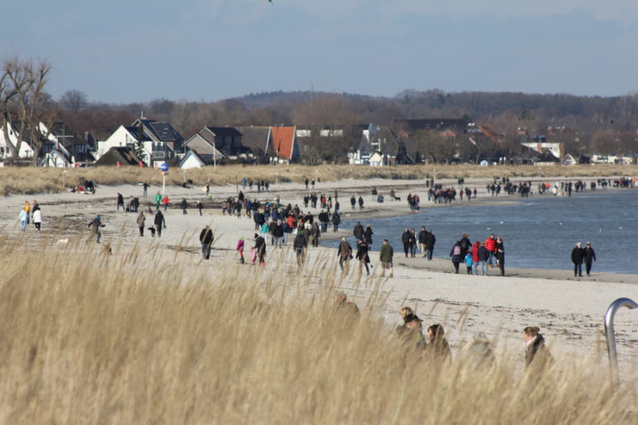 weil Spaziergänge am Scharbeutzer Ostseestrand besonders schön sind.