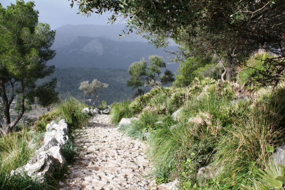 Wanderweg zum Santuari de Cura