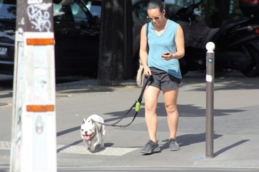 ...mit Hund
