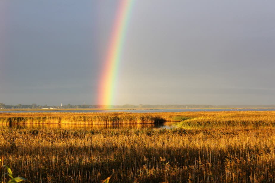 Regenbogen