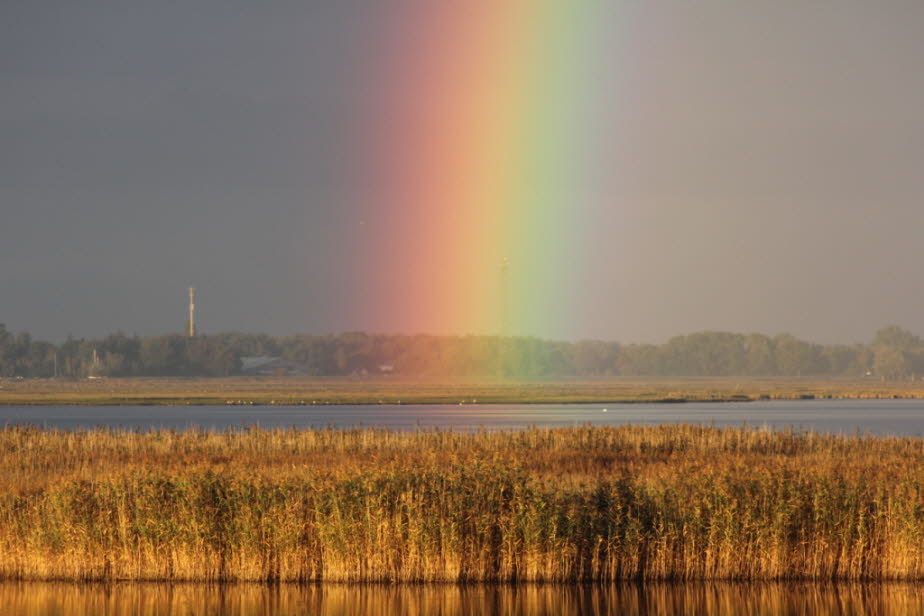 Regenbogen