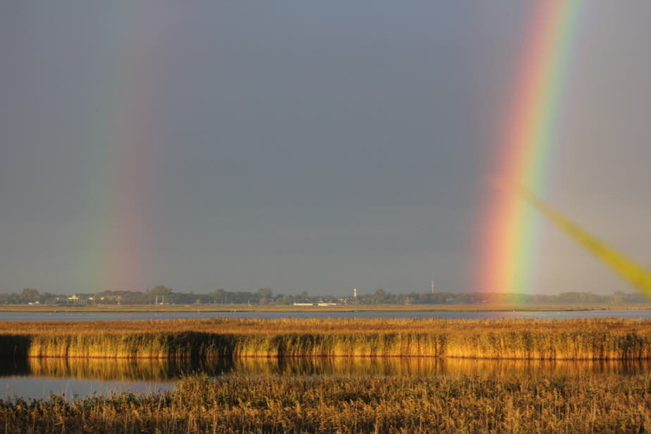 Regenbogen