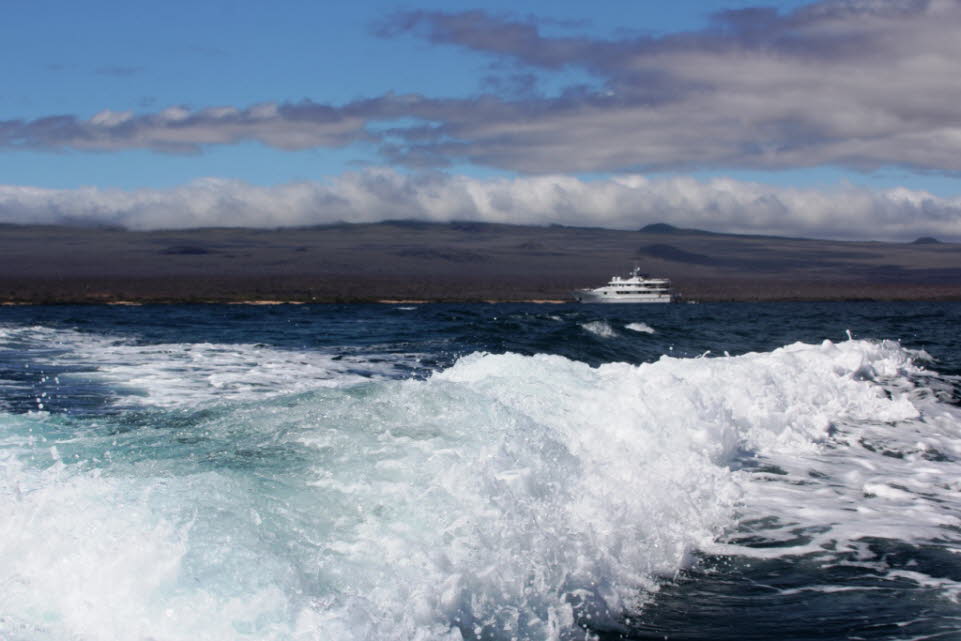 Kreuzfahrtschiff vor der Insel Nord Seymour Galapagos 