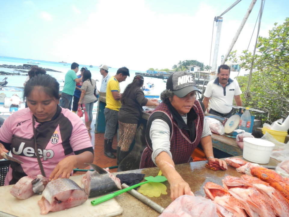 Fischmarkt auf der Insel Santa Cruz
