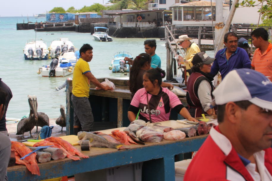 Fischmarkt auf der Insel Santa Cruz 