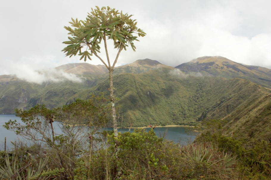 Kratersee Cuicocha