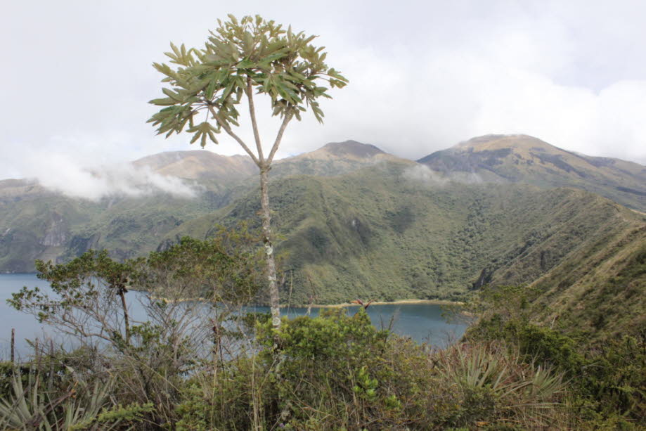 Kratersee Cuicocha Ecuador