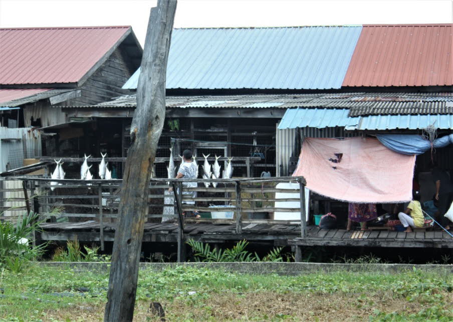 Das Bild zeigt eine Szene in einem traditionellen Pfahlbautendorf auf Borneo (oft als Kampung Air oder Wasserdorf bezeichnet), in dem gerade Fische zum Trocknen aufgehängt werden.