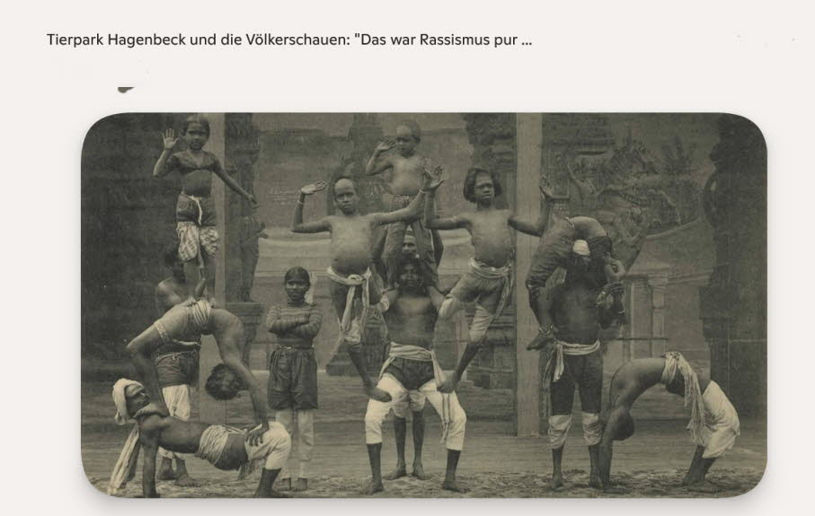 Menschenschau bei Hagebeck Rassismus pur: Anthropologen wie Rudolf Virchow oder Theodor von Bischoff nutzten die Gelegenheit, um Menschen zu „vermessen“ und zu „studieren“ – ein Ausdruck kolonialer und rassistischer Wissenschaft. Die Völkerschauen waren e