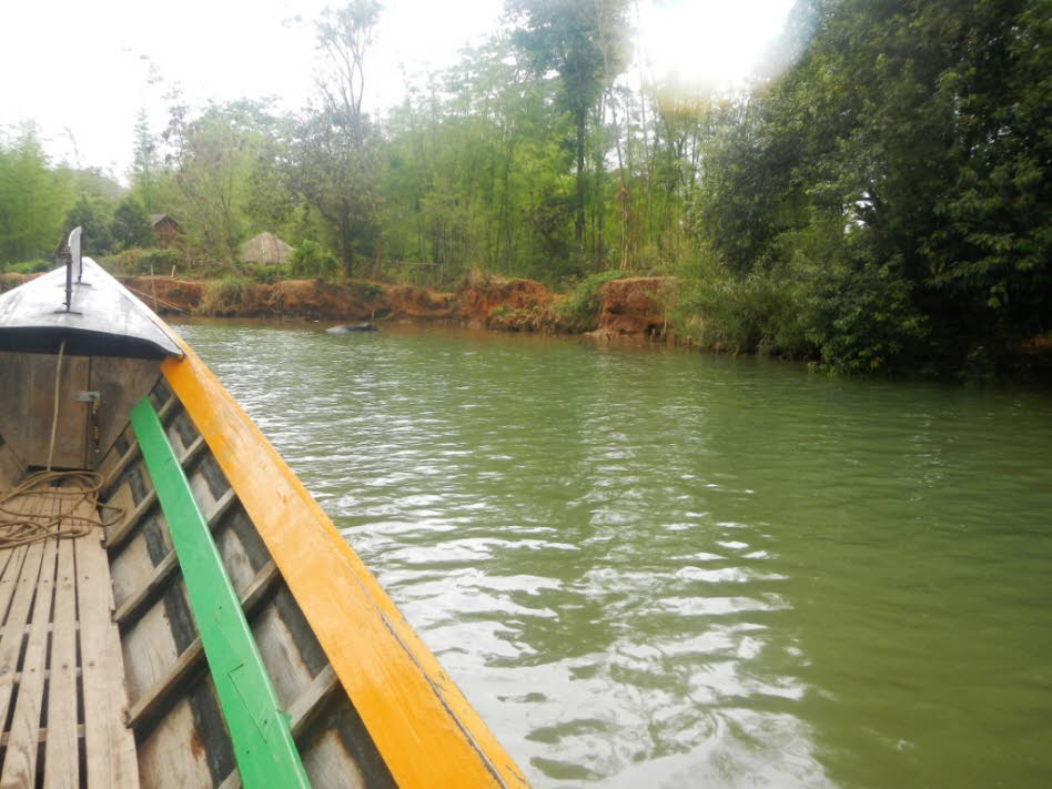 Badende Büffel im Inle-See