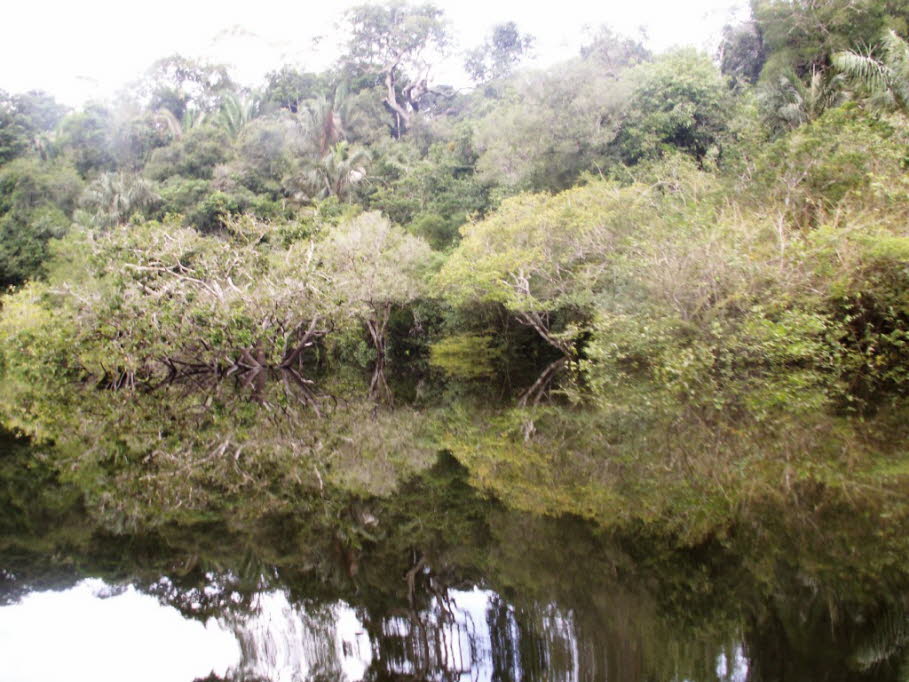 Ein Fünftel des gesamten Süßwassers der Erde fließt durch den Amazonas, der  mit 6.400 Kilometer Länge von den Andenquellen bis zur Atlantikmündung ein gigantisches mäanderndes Flusssystem bildet. Da der Wasserspiegel je nach Regenzeit bis zu 20 Metern sc