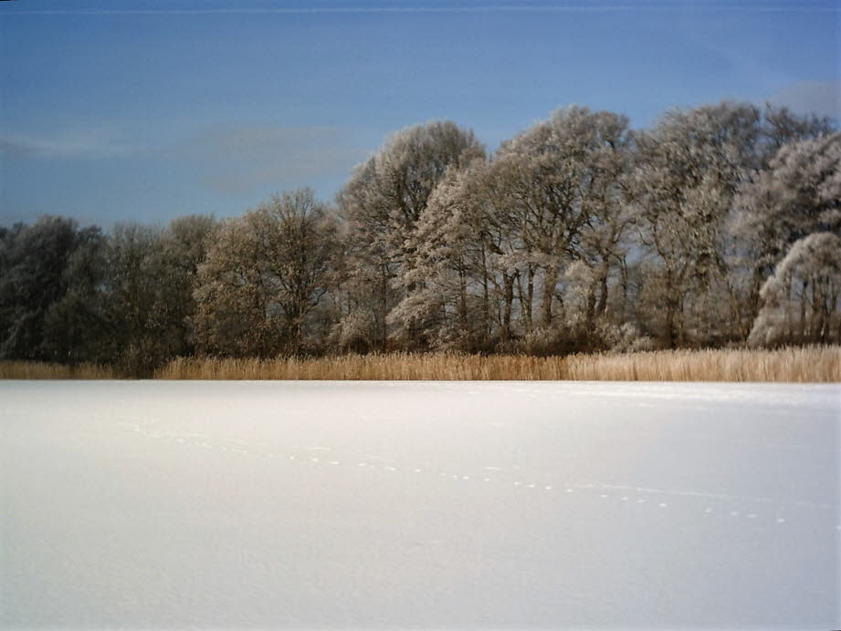 weil der Schmalensee im Winter zufriert.