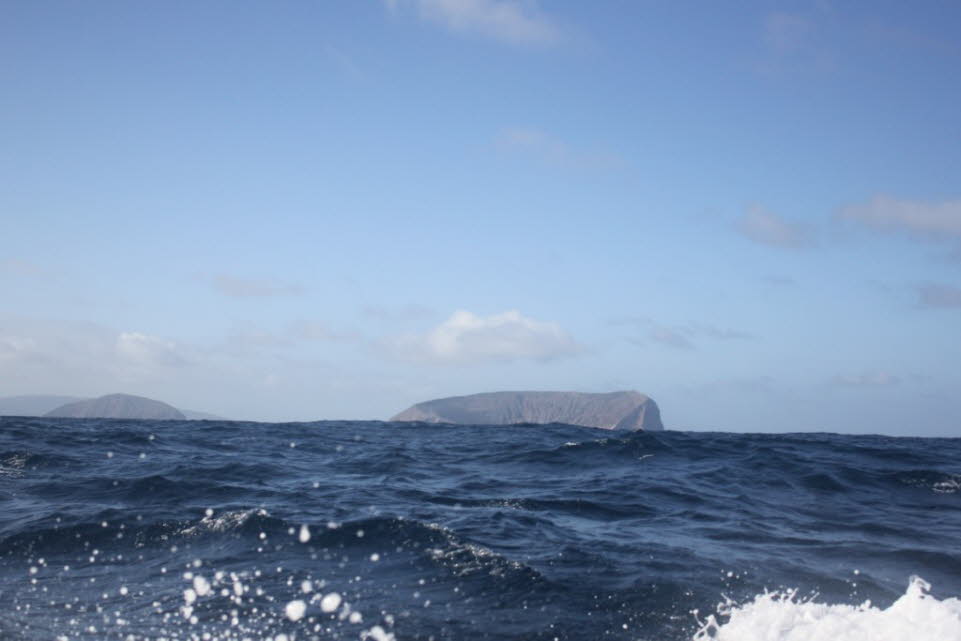 Pinzon Island:  Die Insel Pinzén ( nach Adam Duncan, 1. Viscount Duncan) ist eine Insel in Ecuador. Pinzén ist die Heimat von riesigen Galapagosschildkröten der endemischen Unterart Chelonoidis duncanensis, Galpagos Seelöwen und anderen endemischen Arten.Û