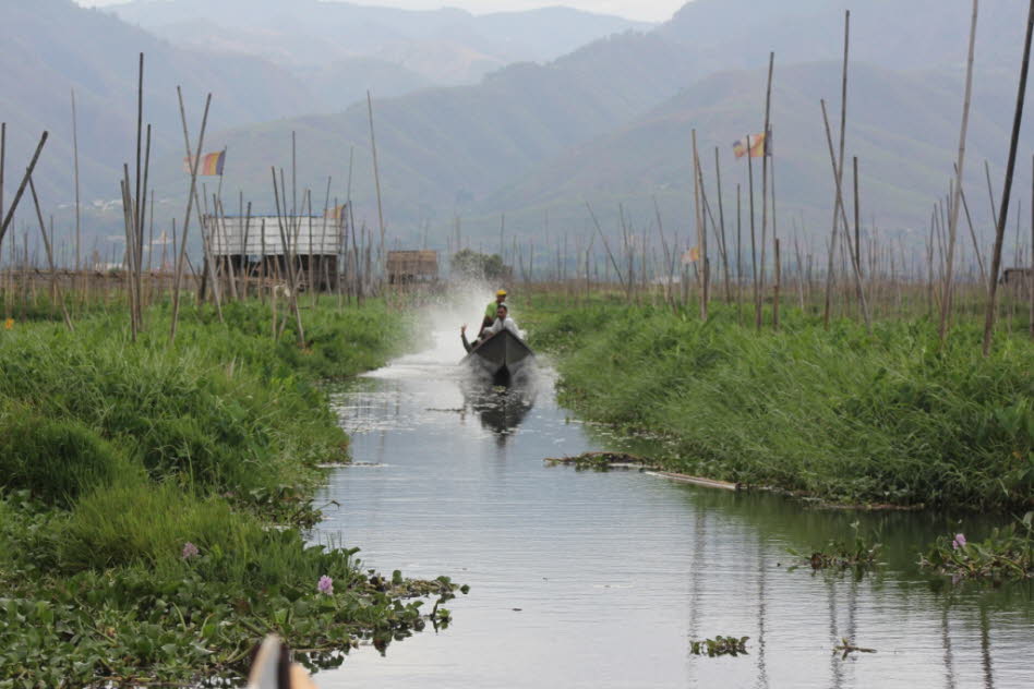 Schwimmende Gärten auf dem Inlesee 