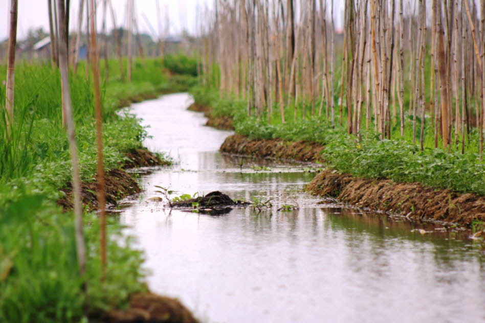 Schwimmende Gärten auf dem Inlesee