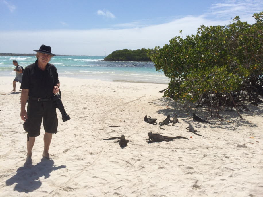 Strand der Meerechsen  bei Puerto Villamil Isla Isabela Galapagos 