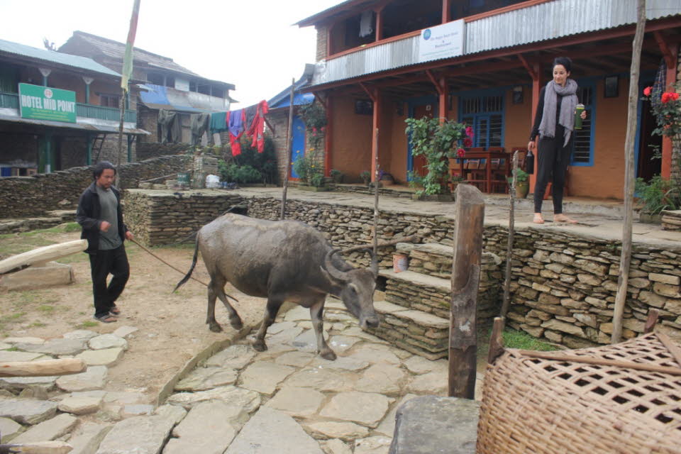 Trekking von Kande nach Panchaase Bhaniyang