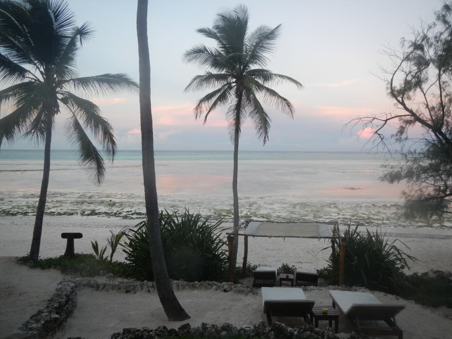 Zanzibar Ostküste Strand: Halbinsel Michamwi Pingwe Boutique-Hotel Matlai Dieses luxuriöse Boutiquehotel am Strand ist von einem tropischen Garten mit Blick auf den Indischen Ozean umgeben. Es ist 30 km vom Waldgebiet Jozani Forest entfernt. Die stilvolle