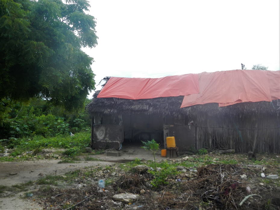 Zanzibar Ostküste Halbinsel Michamwi Pingwe: Hütte an der Hauptstraße