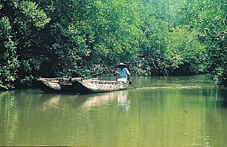 Sri Lanka ist ein pulsierender Inselstaat in Südasien, bekannt für sein reiches kulturelles Erbe, seine vielfältigen Landschaften und seine komplexe Kolonialgeschichte. Tropische Strände, alte buddhistische Tempel, Teeplantagen und lebhafte Städte vereine