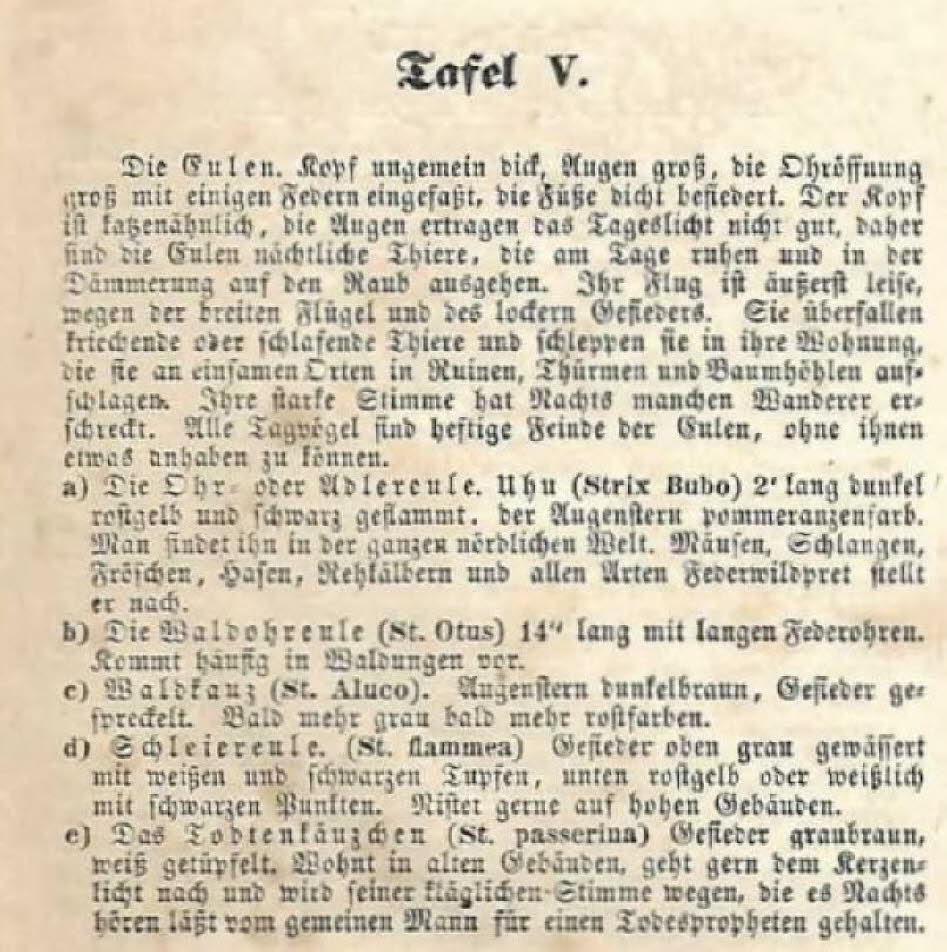 Eulen Schubert 1841:  "Naturgeschichte der Vögel" ist ein Werk von G.H. von Schubert, das 1841 bei J.F. Schreiber in Esslingen veröffentlicht wurde. Es handelt sich um eine Naturgeschichte der Vögel, die teilweise auch Bilder enthält, die "treu nach der N