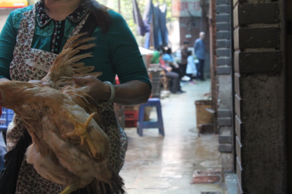 Auf dem Markt von Chongqing