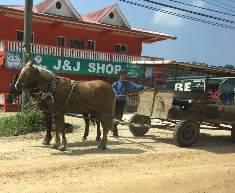 Mennoniten in Belize: Mennoniten in Belize bilden verschiedene religiöse Gruppen und kommen aus unterschiedlichen ethnischen Hintergründen. Es gibt Gruppen von Mennoniten, die in Belize leben, die ziemlich traditionell und konservativ sind (z.B. in ShipyaE