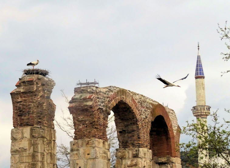 Römischebyzantinisches Aquädukt in Selçuk, Izmir, Türkei.Das Aquädukt ist berühmt für die riesigen Storchennester, die sich auf den antiken Säulen befinden.  