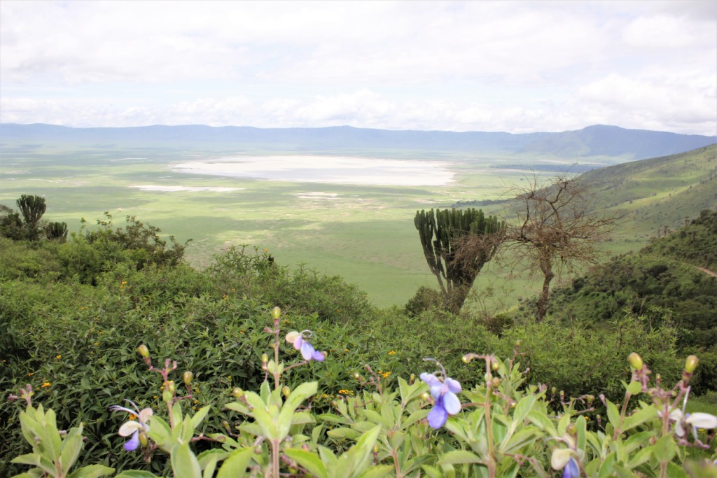 Ngorogoro-Krater