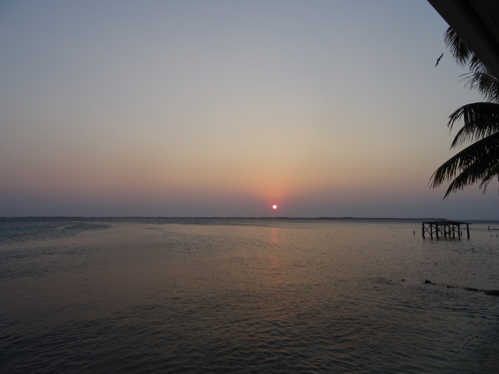 Abend auf der Insel Tabacco Caye Belize