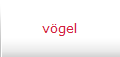 vögel